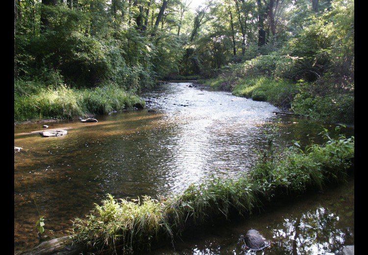The Waterloo Mills Preserve Brandywine Conservancy and Museum of Art